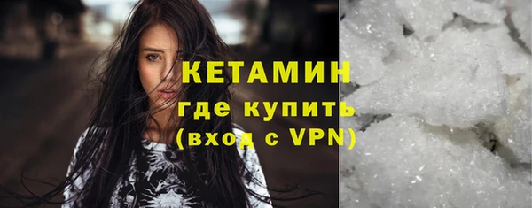 прущие грибы Пестово
