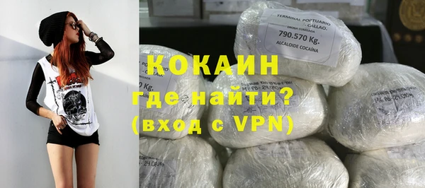 прущие грибы Пестово