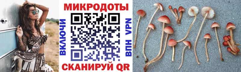 Галлюциногенные грибы Magic Shrooms  Торопец 
