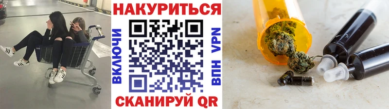 Бошки Шишки марихуана  купить наркотики цена  OMG рабочий сайт  Торопец 